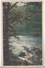 bnk cp Valea Oltului - Vedere - uzata 1955 - Libraria noastra