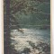 bnk cp Valea Oltului - Vedere - uzata 1955 - Libraria noastra