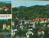 CPIB 16076 CARTE POSTALA - OLANESTI, MOZAIC, Circulata, Fotografie