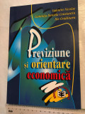 Valentin Nicolae - Previziune si orientare economica