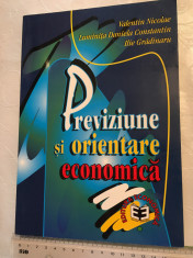 Valentin Nicolae - Previziune si orientare economica foto