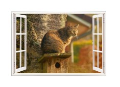 Sticker decorativ, Fereastra 3D, Pisica, 85 cm, 502STK