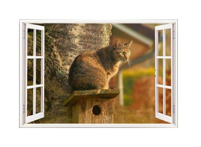 Sticker decorativ, Fereastra 3D, Pisica, 85 cm, 502STK foto