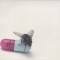 CD Red Hot Chili Peppers - I&#039;m with You 2011