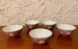 5 BOLURI DIN PORTELAN CHINEZESC, PICTATE MANUAL D11,5CM