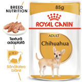 Royal Canin Chihuahua Adult hrană umedă c&acirc;ine (pate), 12 x 85g