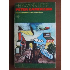 Hermann Hesse - Peter Camenzind