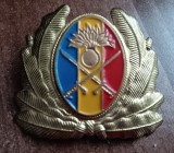 QW14 - Emblema militara / cuc - uscat - anii 1990 - piesa de colectie