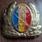 QW14 - Emblema militara / cuc - uscat - anii 1990 - piesa de colectie