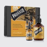 Proraso Set Ingrijire Barba Wood &amp;amp; Spice, Ulei + Sampon pentru barba