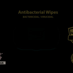 Servetele umede Antibacteriene Classic, 60 bucati, Expert Wipes