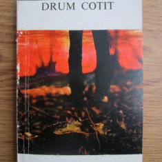 Heimito von Doderer - Drum cotit