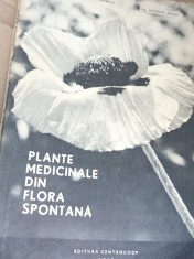 PLANTE MEDICINALE DIN FLORA SPONTANA Constantinescu Corneliu