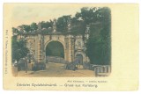 3616 - ALBA-IULIA, Fortress Gate, Litho, Romania - old postcard - unused