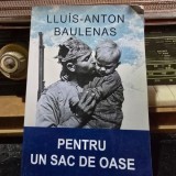 Pentru un sac de oase - Lluis Anton Baulenas