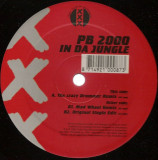 PB 2000 aka Orlando Voorn - In Da Jungle (Vinyl), VINIL, House