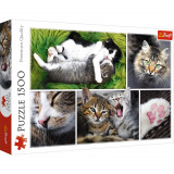 Puzzle 1500 piese - Just Cat Things | Trefl