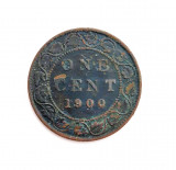 moneda brnoz CANADA 1 cent 1900 km # 7 tiraj mic Regina Victoria _ 25 mm