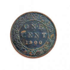 moneda brnoz CANADA 1 cent 1900 km # 7 tiraj mic Regina Victoria _ 25 mm