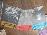VANATORUL SI PESCARUL SPORTIV, 1969 * COLECTIE COMPLECTA, 12 NUMERE