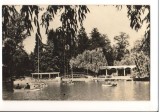 CPI B 10835 CARTE POSTALA - RAMNICU VALCEA. PARCUL ZAVOI, Circulata, Fotografie