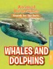 Whales &amp; Dolphins