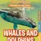 Whales &amp; Dolphins