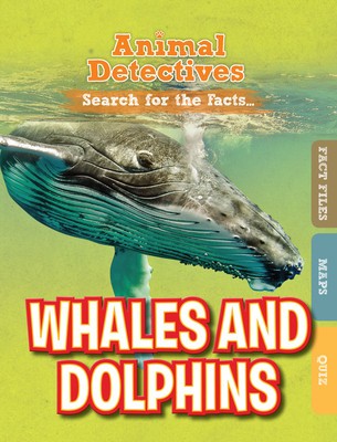 Whales &amp; Dolphins