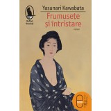 Frumusete si intristare (ebook)