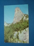 CHEILE BICAZULUI -PIATRA ALTARULUI