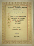 Magdalena N. Iorga - Inițiale, litere, ornate, chenare și &icirc;nflorituri din documente muntene și moldovene din veacul XVII și XVIII (editia 1929)