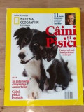Caini si pisici Revista National Geographics