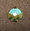 Insigna fotbal - &quot;RECOLTA&quot; anii`50
