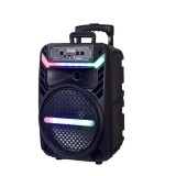 Boxa portabila cu lumini RGB, tip troler, putere 20W, MP3, USB, bluetooth, TF, slot microfon, karaoke, acumulator, din plastic rezistent, cu 2 difuzoa