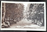 Carte postala, Pucioasa, Parcul Aleea, perioada interbelica