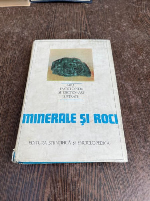 Gogu Parvu - Minerale si roci foto