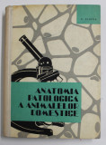 ANATOMIA PATOLOGICA A ANIMALELOR DOMESTICE de V. CIUREA , 1964