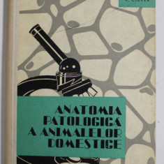 ANATOMIA PATOLOGICA A ANIMALELOR DOMESTICE de V. CIUREA , 1964