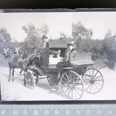 NEGATIV FOTO / FOTOGRAFIE PE STICLA , ANII 1900 TRASURA ..