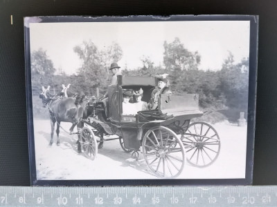 NEGATIV FOTO / FOTOGRAFIE PE STICLA , ANII 1900 TRASURA .. foto