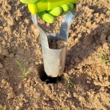 Cumpara ieftin Trusa de plantare Plantigo