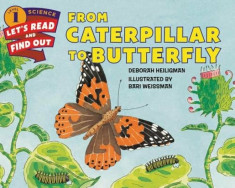 From Caterpillar to Butterfly, Paperback/Deborah Heiligman foto