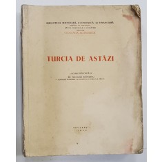 TURCIA DE ASTAZI NICOLAE MANESCU