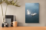 Tablou Canvas, "Lacul liniștit al lebedei strălucitoare", Lebădă, Apă, Reflexii, Serenitate, Lumină, Natură, Eleganță, Calm, 26 x 39 cm, CMCLASS