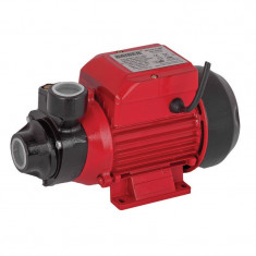 Pompa de apa centrifugala de suprafata periferica Raider, 500 W, 2850 rpm, 35 m, 2400 l/h