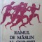 RAMUL DE MASLIN AL OLYMPIEI-ION MATEI-259512
