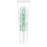 Mario Badescu Lip Balm balsam de buze ultra-hidratant 10 g