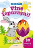 Cumpara ieftin Coloram vine iepurasul! 80 de pagini pentru tine!/***