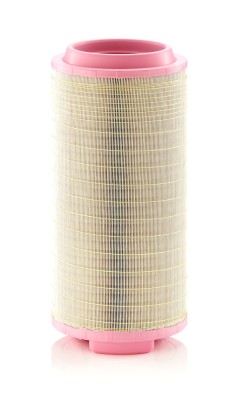 MANN-FILTER C 25 024 Filtru aer foto