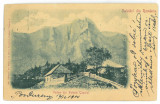 3932 - POIANA TAPULUI, Prahova, Litho, Romania - old postcard - used - 1900